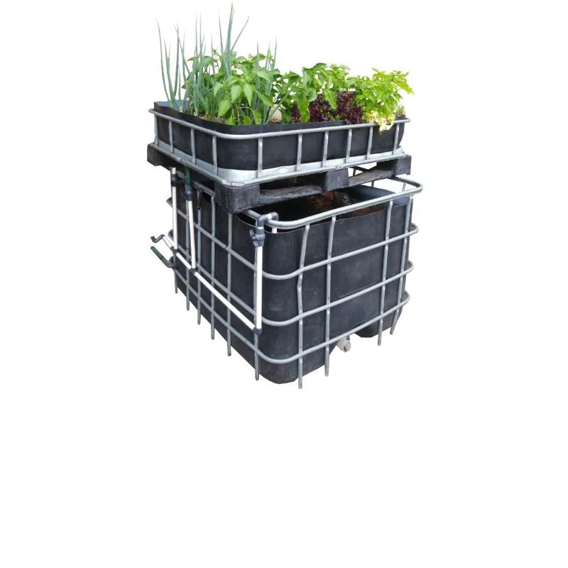 Aquaponics basic DIY starter kit