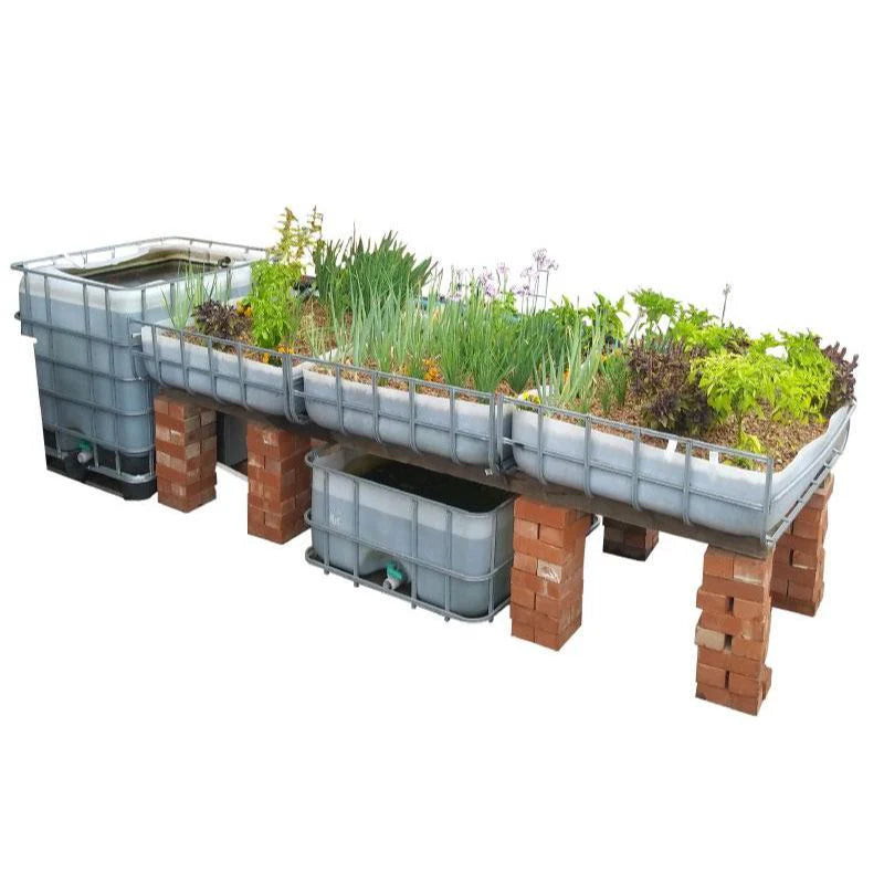 Aquaponics executive DIY starter kit