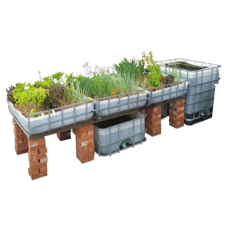 Aquaponics executive DIY starter kit