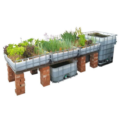 Aquaponics executive DIY starter kit