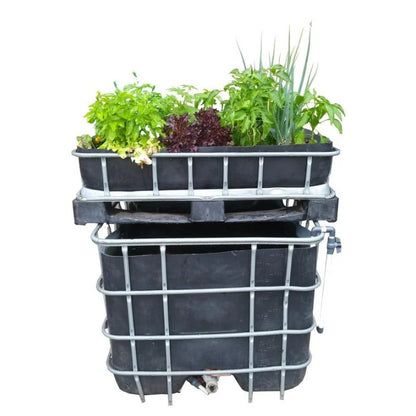 Aquaponics basic DIY starter kit