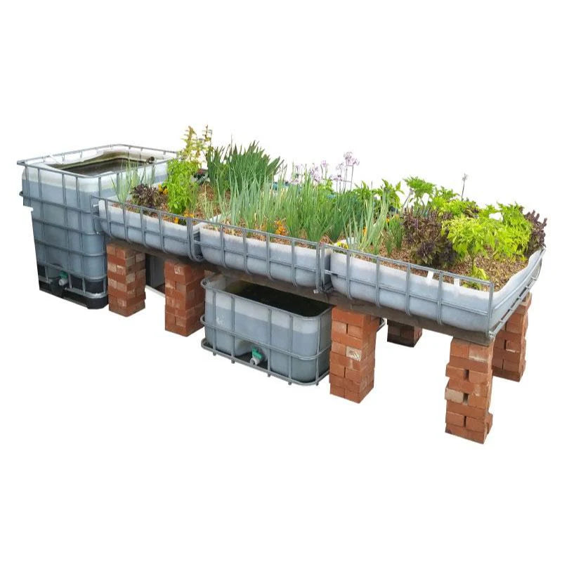 Aquaponics executive DIY starter kit