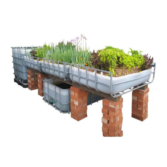 Aquaponics executive DIY starter kit