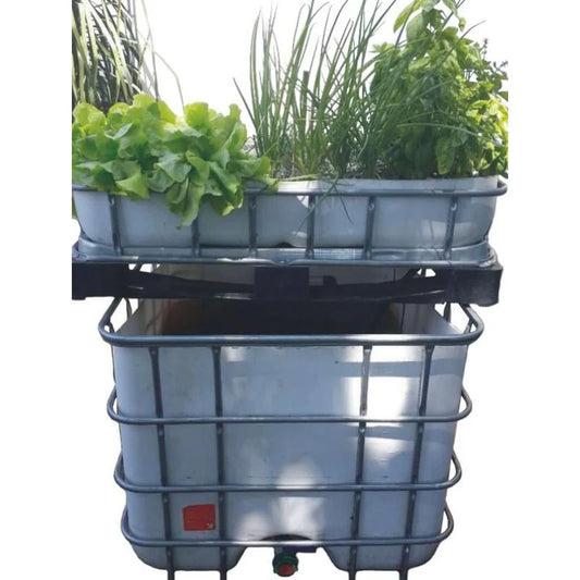 Aquaponics basic DIY starter kit