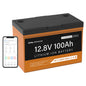 Vestwood VC-12100 12.8V 100Ah